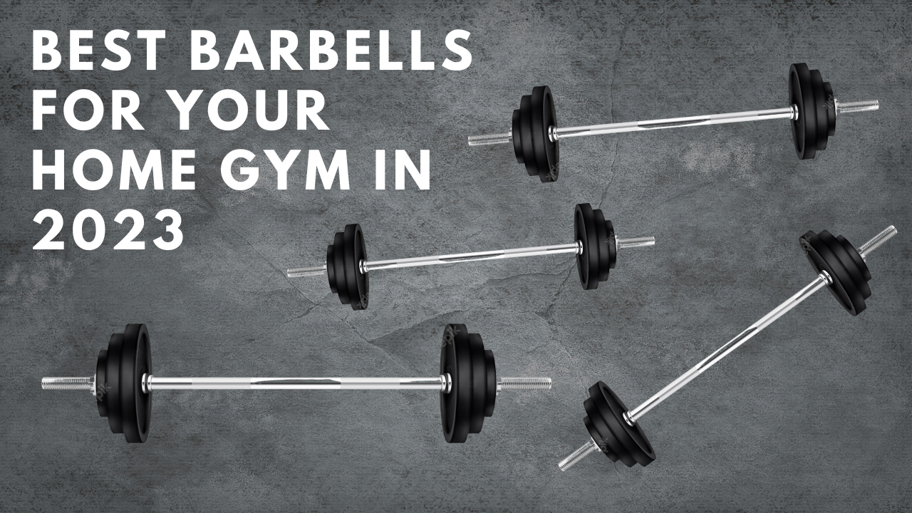 The Best Barbells For Your Home Gym in 2023!